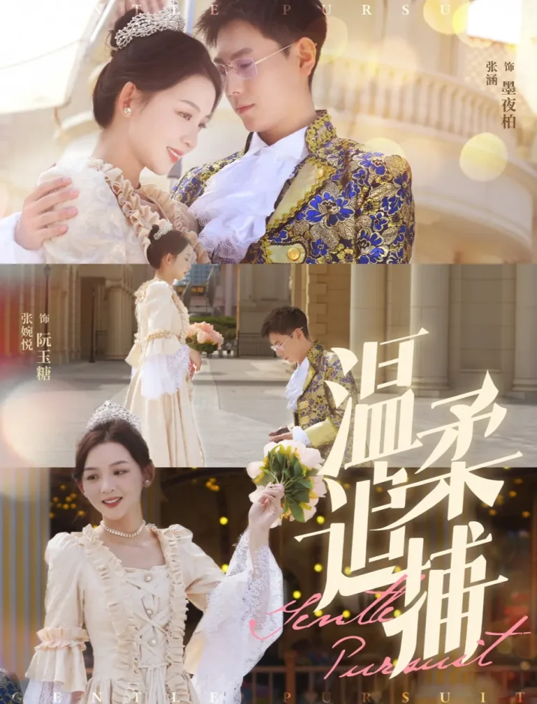 《温柔追捕》全集高清完整版在线观看与剧情解析