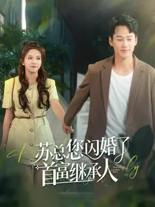 《苏总您闪婚了首富继承人》全集高清完整版在线观看与剧情解析