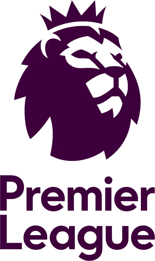 英超 伊普斯维奇vs纽卡斯尔联20241221