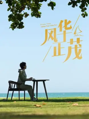 《风华正茂2024》全集高清完整版在线观看与剧情解析