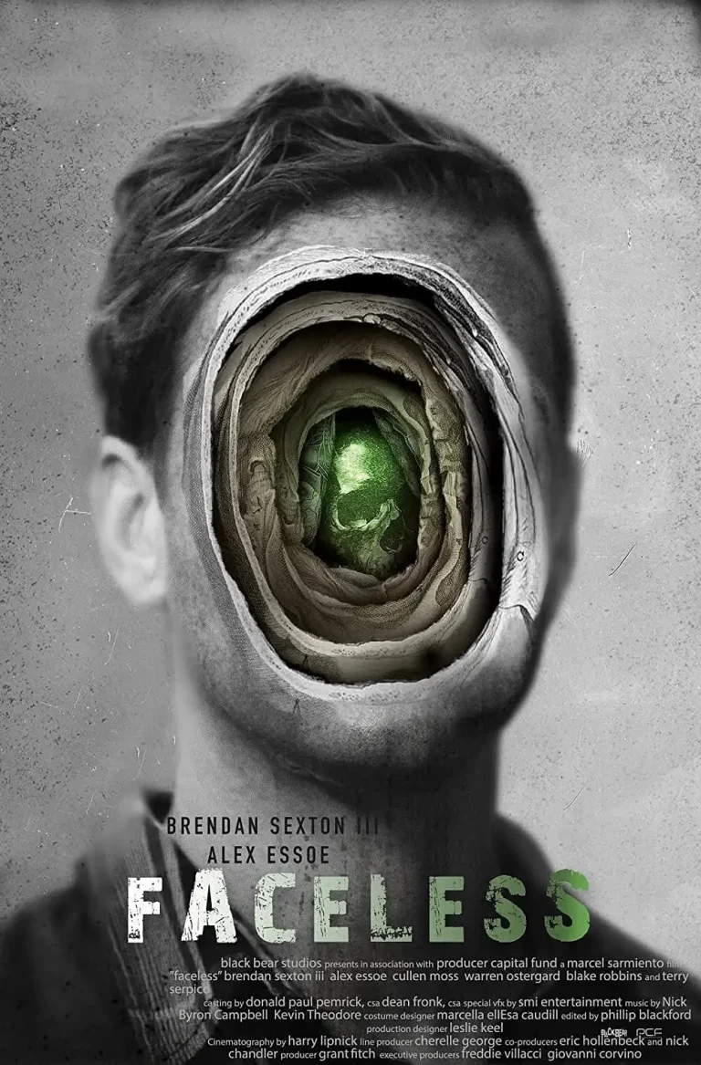 《变脸效应》全集高清完整版在线观看与剧情解析